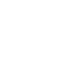 icon_low-battery_white